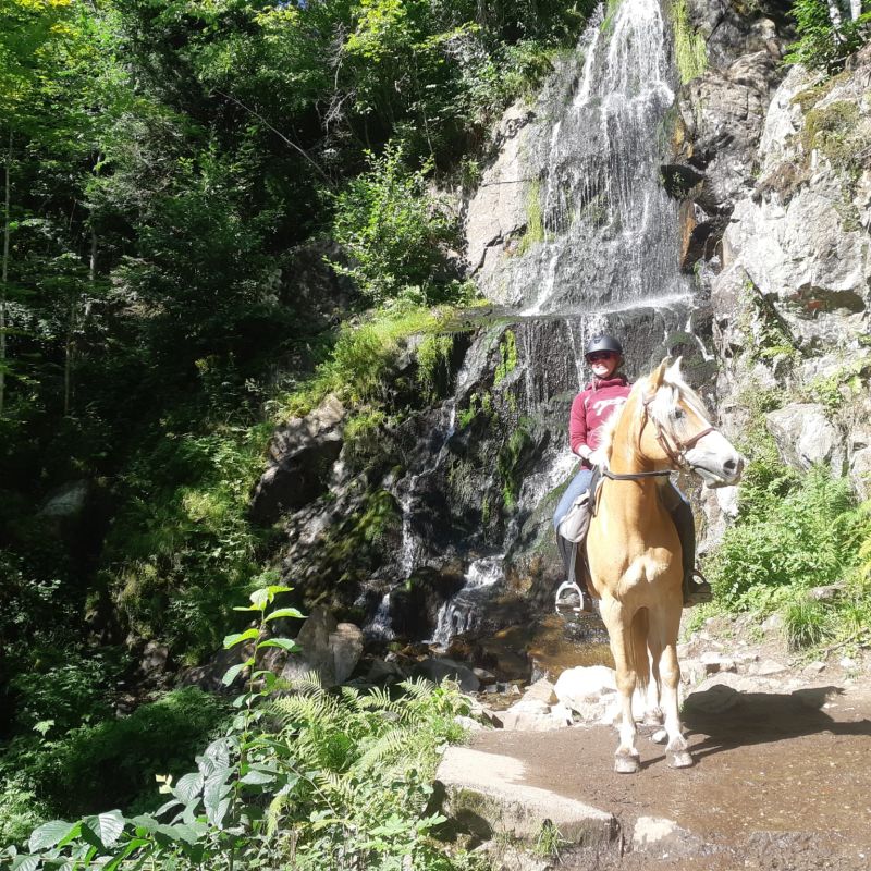 randonées équestre dans les Vosges au pied de la cascade du howald